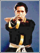 Hero, Warrior Grand Master Professor Chow